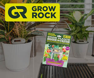 Grow Rock Med. Rect. Banner