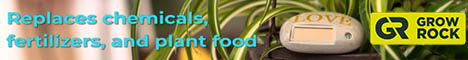 Grow Rock Full Banner